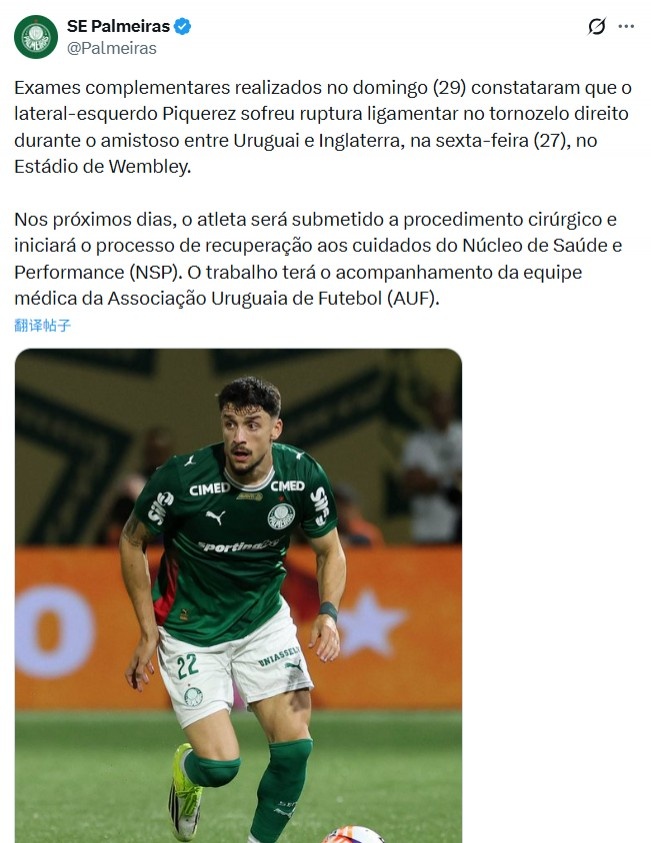 开云体育下载网址-战英格兰受伤，帕尔梅拉斯官方：乌拉圭后卫皮克雷斯脚踝韧带撕裂